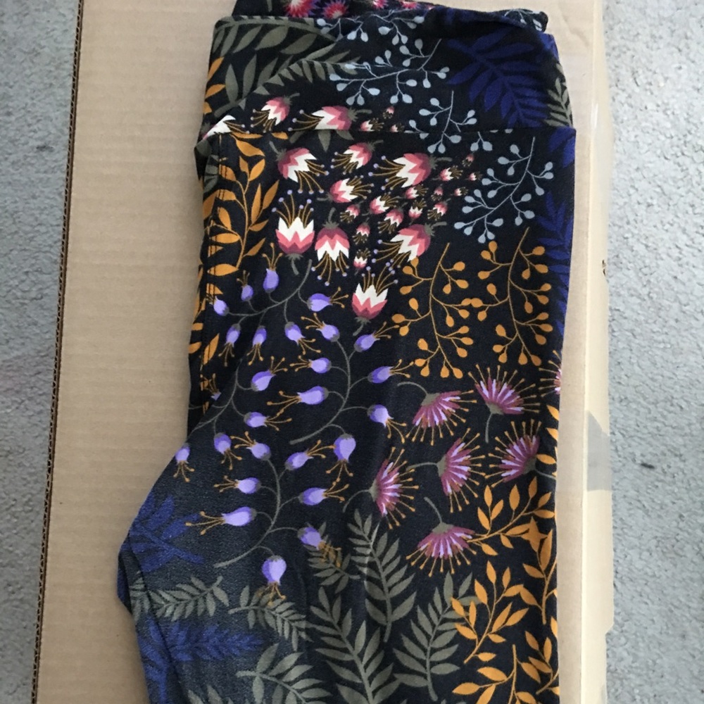 Used LulaRoe TC leggings